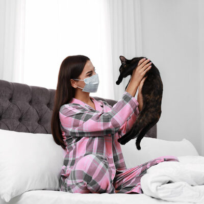 Pet allergy management &#8211; A guide for pet owners