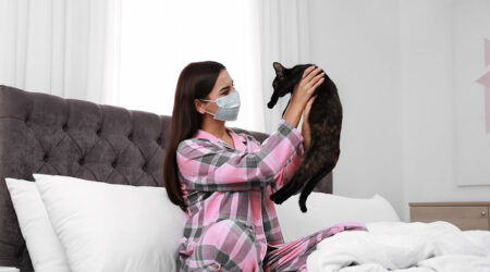 Pet allergy management &#8211; A guide for pet owners