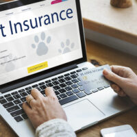 Top 5 FAQs about pet insurance