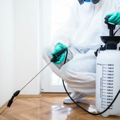 Top 5 pest control products