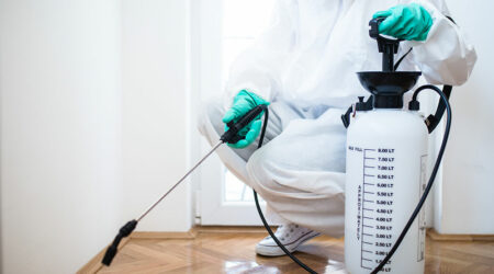 Top 5 pest control products