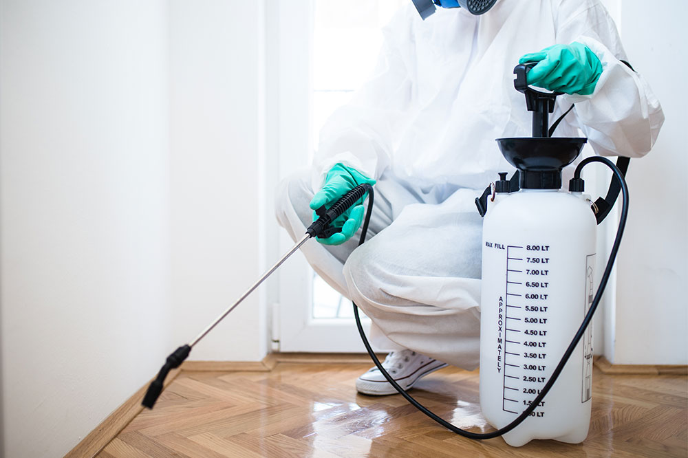 Top 5 pest control products