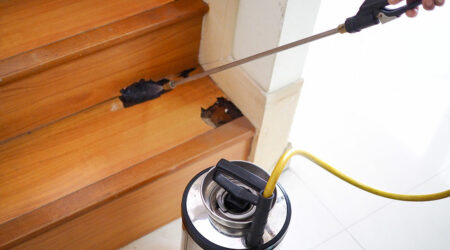 Top termite treatment companies