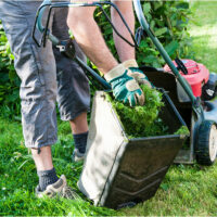 4 top lawn care services for seniors