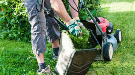 4 top lawn care services for seniors