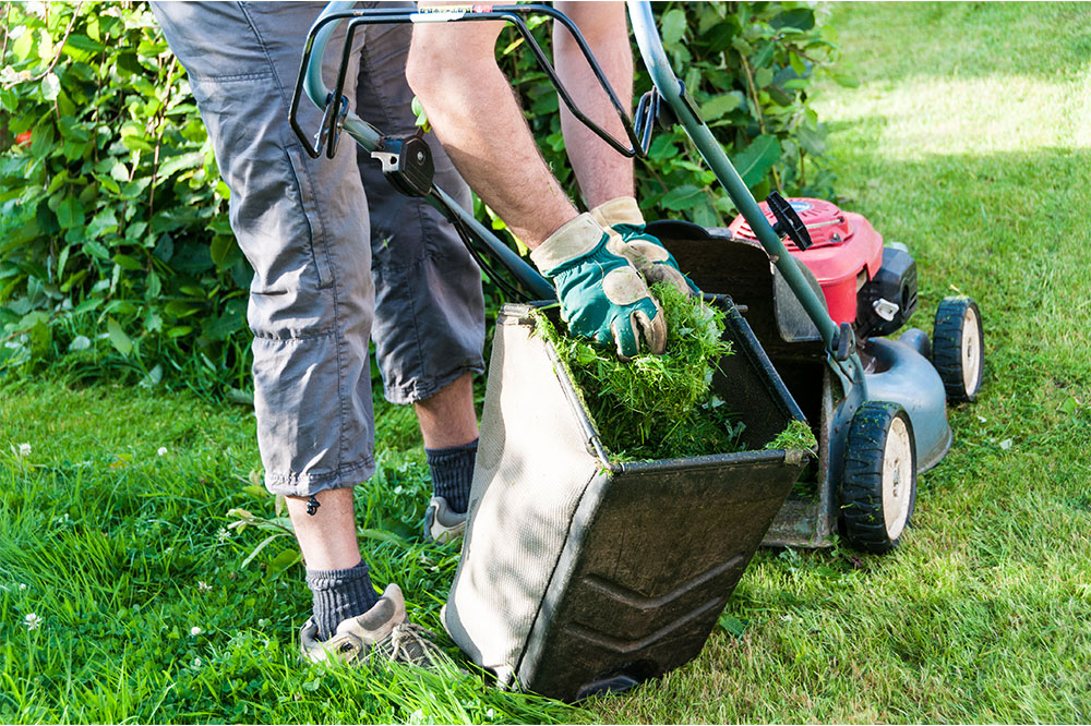 4 top lawn care services for seniors