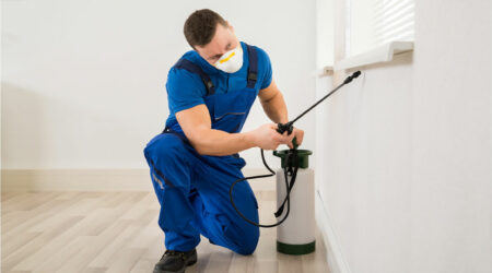 A handy guide to pest control services