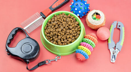 A guide to buying the best pet supplies