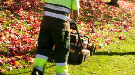 Things to know about professional lawn services for seniors