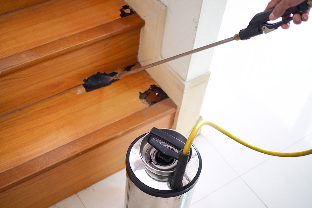 Top termite treatment companies
