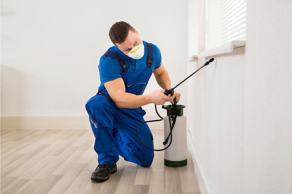 A handy guide to pest control services