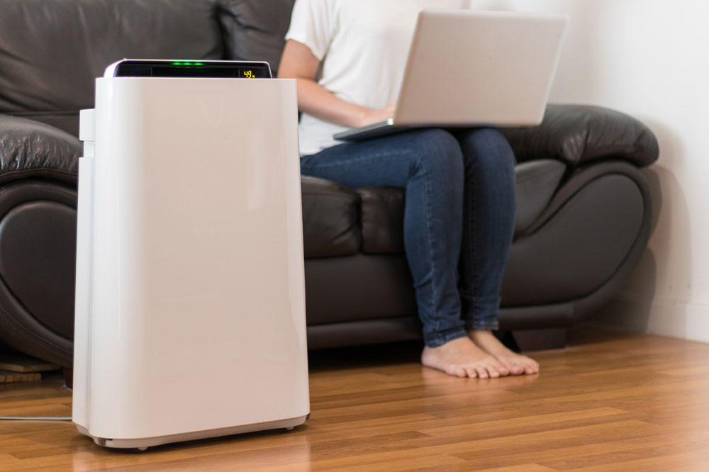 5 best air purifiers for preventing dust